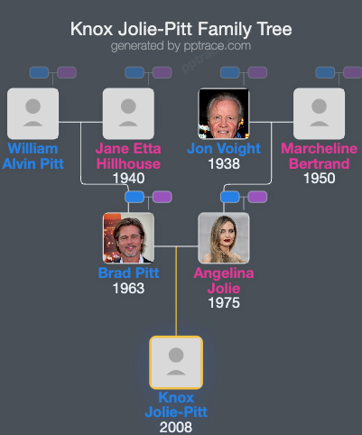 Knox Jolie-Pitt family tree overview