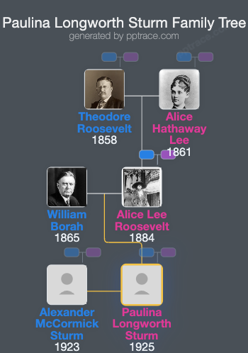 Paulina Longworth Sturm family tree overview