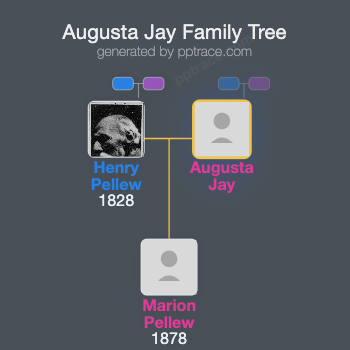 Augusta Jay family tree overview