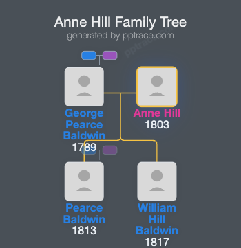 Anne Hill family tree overview