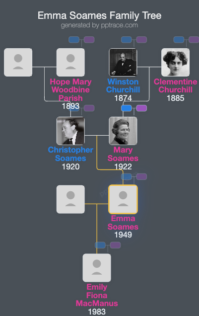 Emma Soames family tree overview