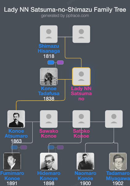 Lady NN Satsuma-no-Shimazu family tree overview