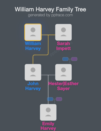 William Harvey family tree overview