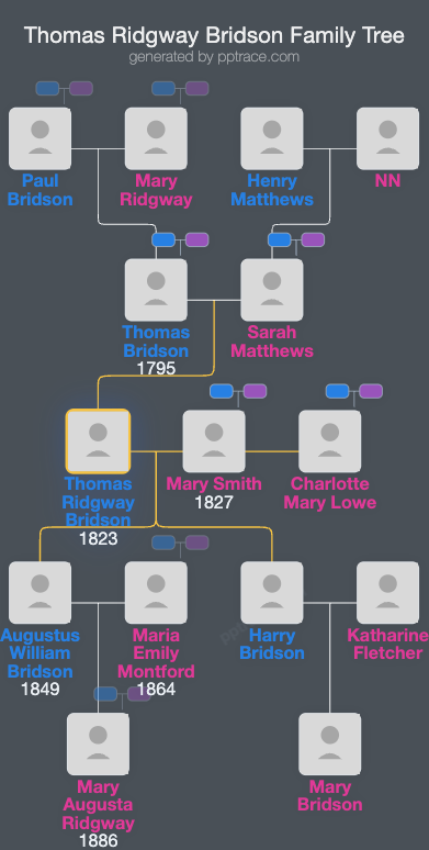 Thomas Ridgway Bridson family tree overview