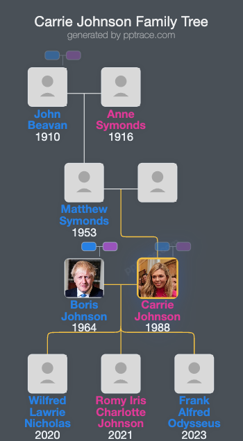 Carrie Johnson family tree overview