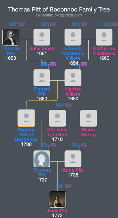 Thomas Pitt Of Boconnoc family tree overview