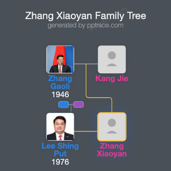 Zhang Xiaoyan family tree overview