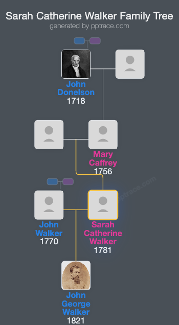 Sarah Catherine Walker family tree overview