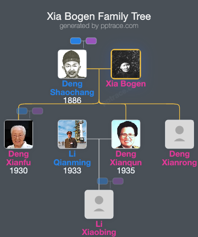 Xia Bogen family tree overview