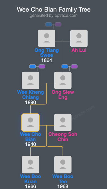 Wee Cho Bian family tree overview