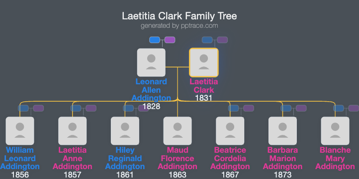 Laetitia Clark family tree overview