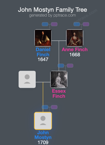 John Mostyn family tree overview