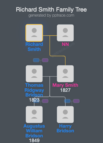 Richard Smith family tree overview