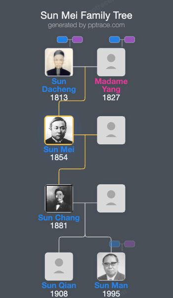 Sun Mei family tree overview