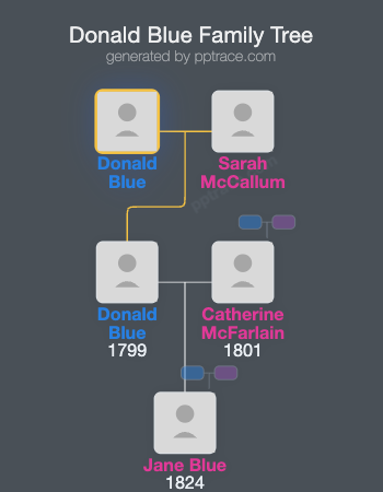 Donald Blue family tree overview