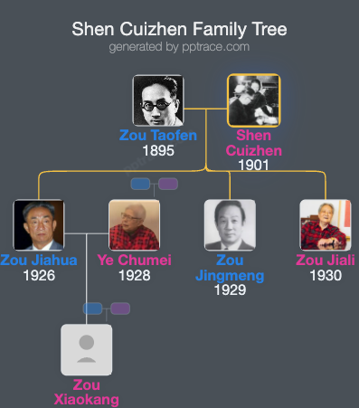 Shen Cuizhen family tree overview