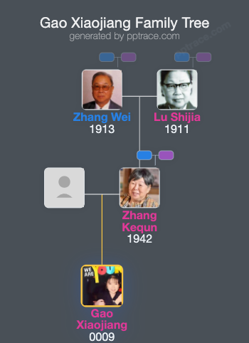 Gao Xiaojiang family tree overview