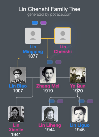 Lin Chenshi family tree overview