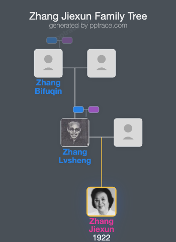 Zhang Jiexun family tree overview