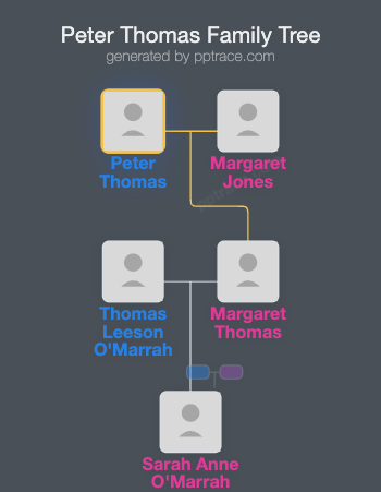 Peter Thomas family tree overview