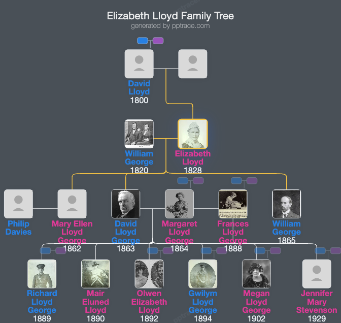 Elizabeth Lloyd family tree overview