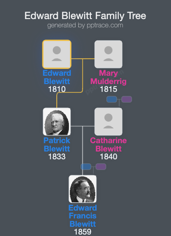Edward Blewitt family tree overview