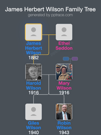 James Herbert Wilson family tree overview