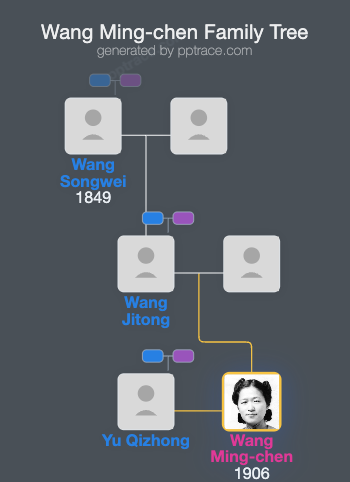 Wang Ming-chen family tree overview