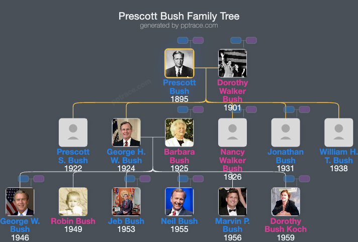 Prescott Bush family tree overview