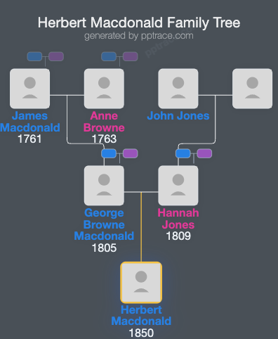Herbert Macdonald family tree overview