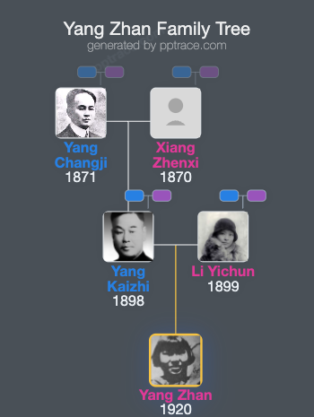 Yang Zhan family tree overview