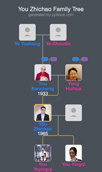 You Zhichao family tree overview