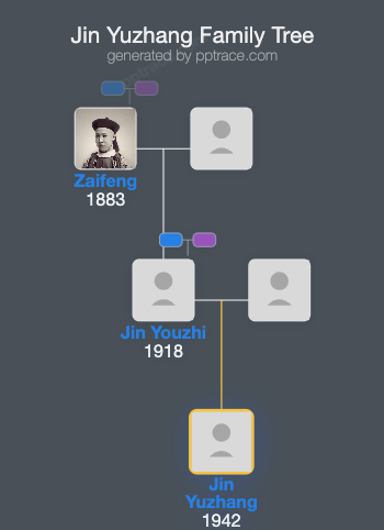Jin Yuzhang family tree overview