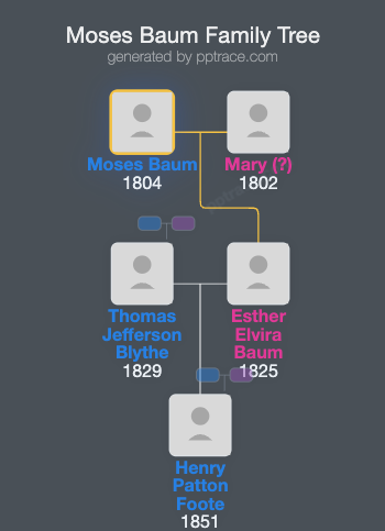 Moses Baum family tree overview