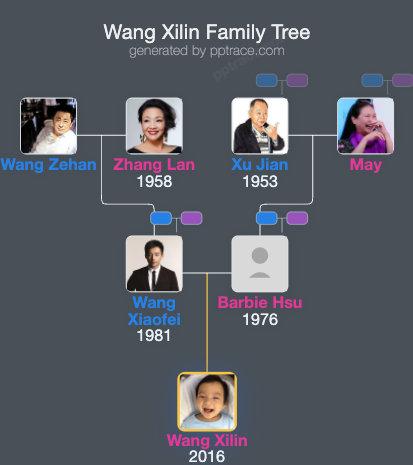 Wang Xilin family tree overview