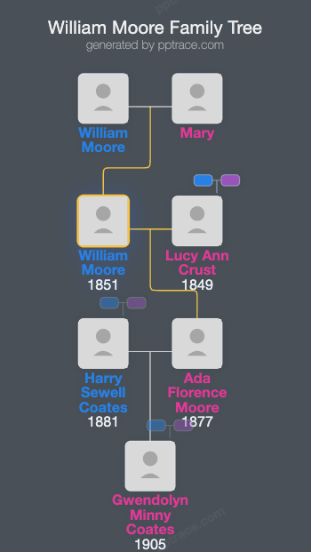 William Moore family tree overview