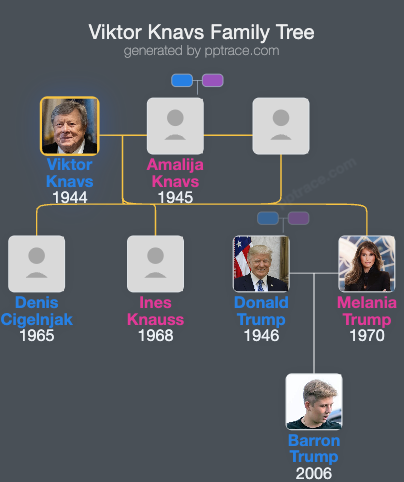 Viktor Knavs family tree overview