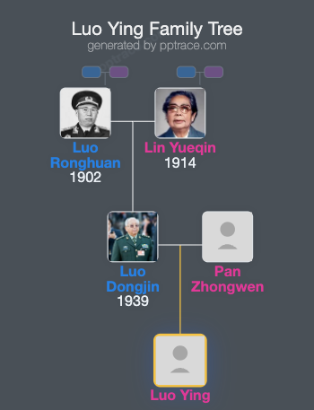 Luo Ying family tree overview