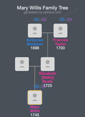 Mary Willis family tree overview