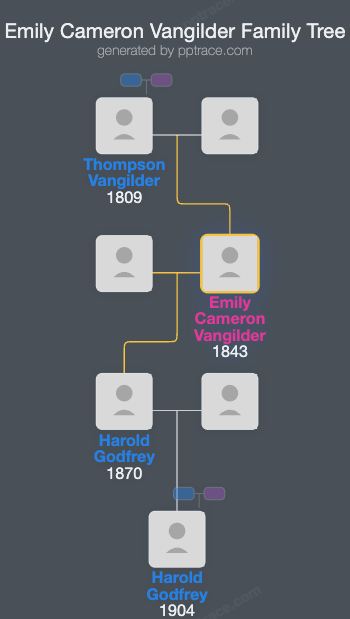 Emily Cameron Vangilder family tree overview