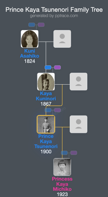 Prince Kaya Tsunenori family tree overview