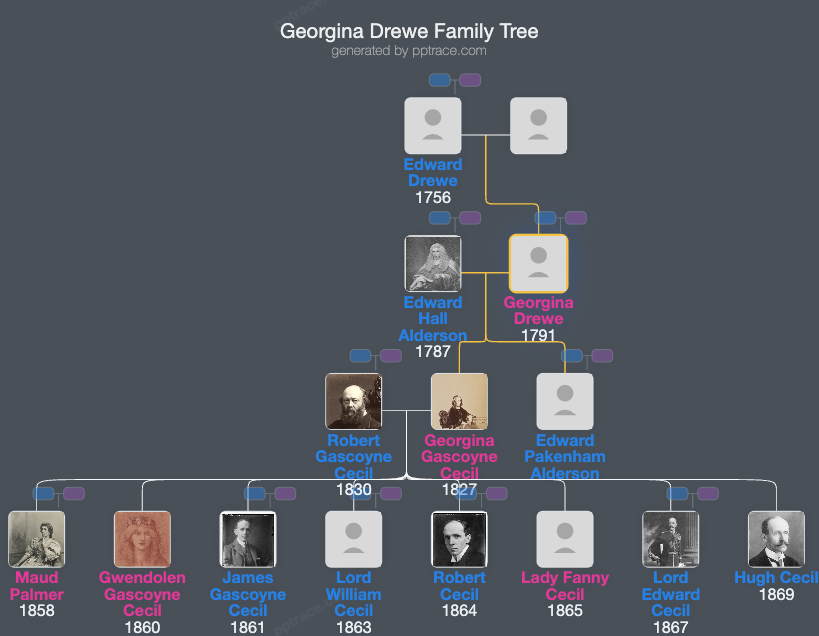 Georgina Drewe family tree overview