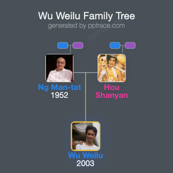 Wu Weilu family tree overview