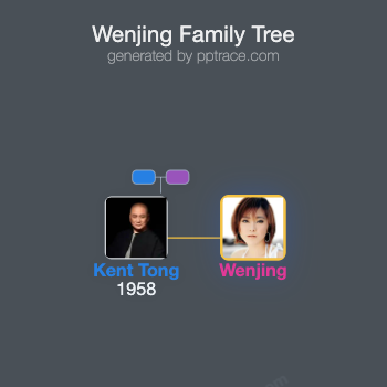 Wenjing family tree overview