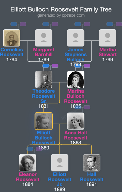 Elliott Bulloch Roosevelt family tree overview