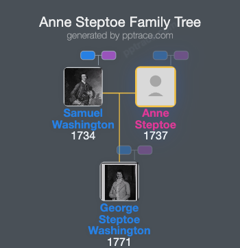 Anne Steptoe family tree overview
