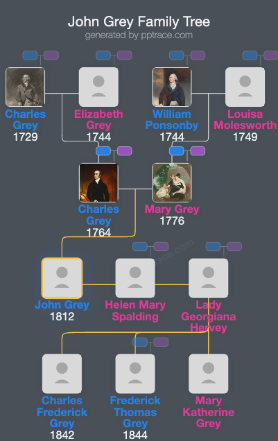 John Grey family tree overview