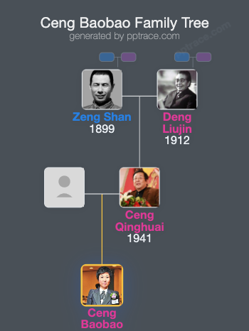 Ceng Baobao family tree overview