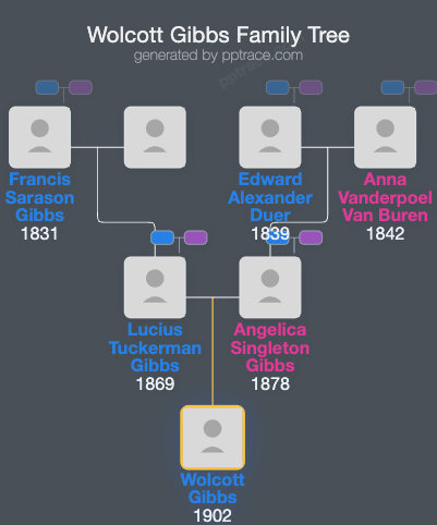 Wolcott Gibbs family tree overview