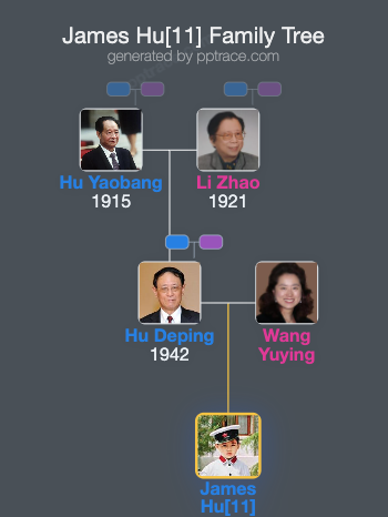 James Hu[11] family tree overview